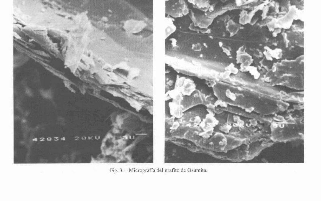 Micrografías SEM del grafito de Osumita mostrando la estructura en hojuela del mineral